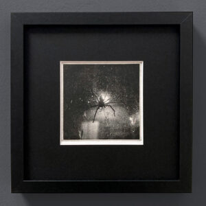 L'araignée (Plottogravure)