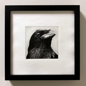 leCorbeauPlottogravure