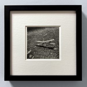 la mante (plottogravure)