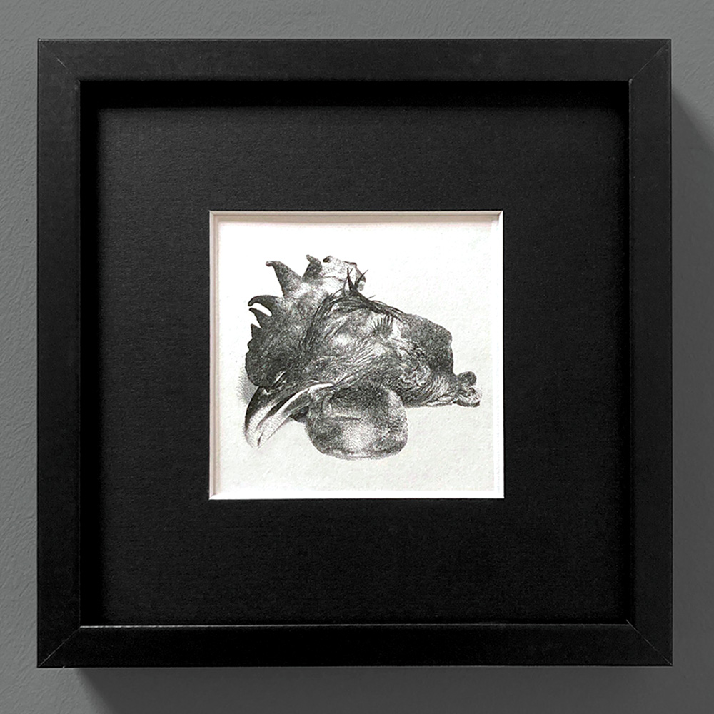 Le poulet (Plottogravure)